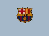 开云平台-澳网力克美网，德约科维奇的高光时刻与历史性超越