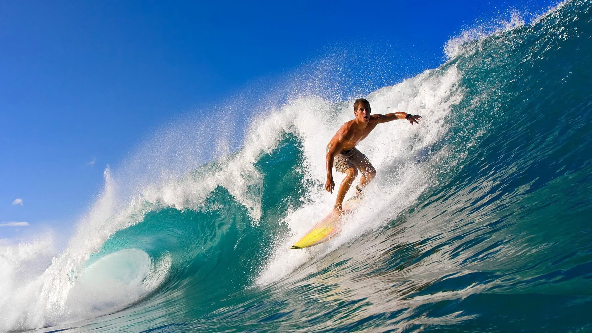 约基奇攻防两端完美统治，灰熊内外开花粉碎公牛